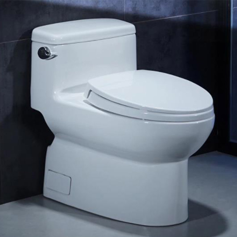 sanitary hotel bidet toilet seats